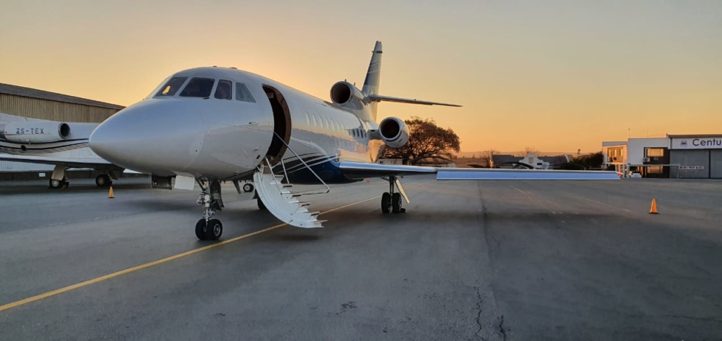 Falcon at sunset near the hangar